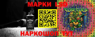 дживик Бийск