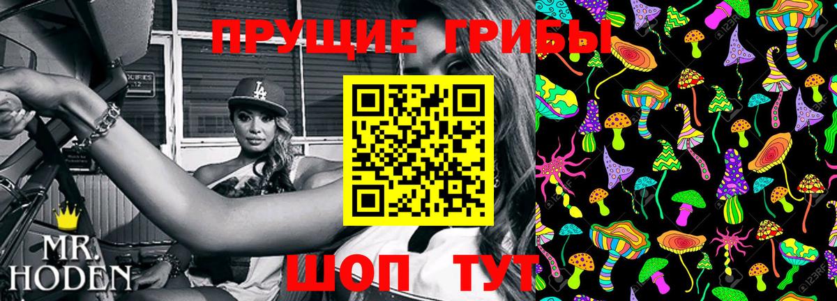 Кингисепп  Псилоцибиновые грибы Psilocybe  Вход с VPN 