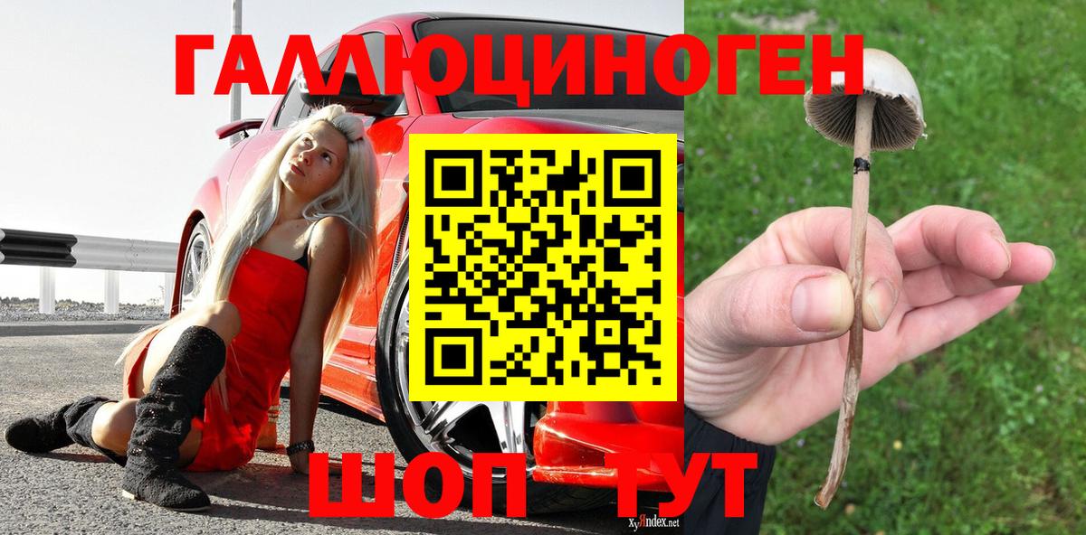 Галлюциногенные грибы прущие грибы Кингисепп